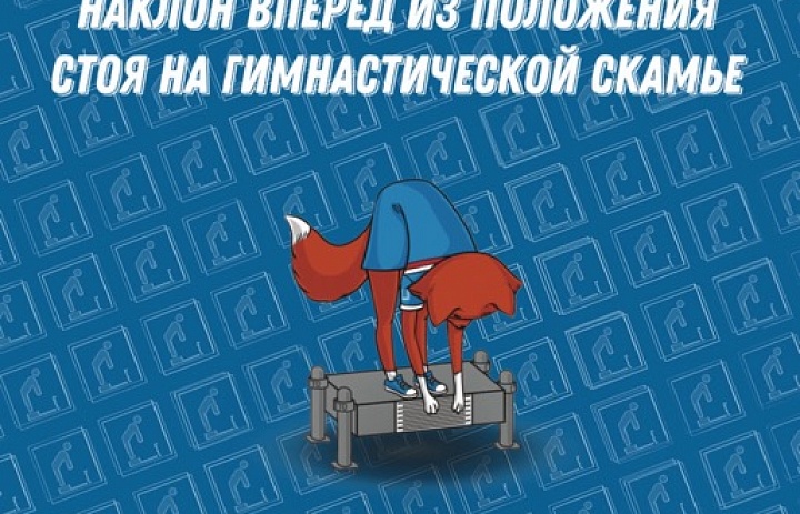 Комплекс